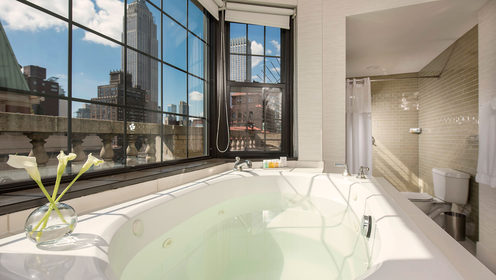 bathtub with empire state building view